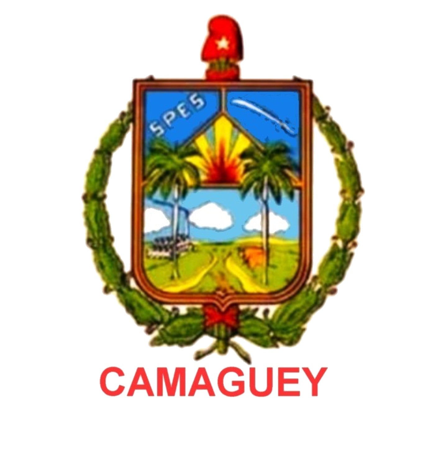 Camiseta Blanca “Camagüey”