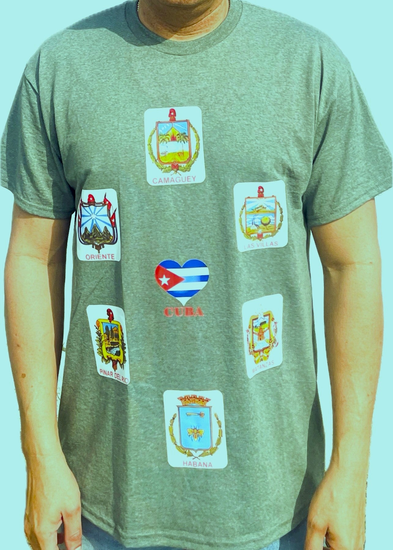 Green "6 Provincias" T-shirt
